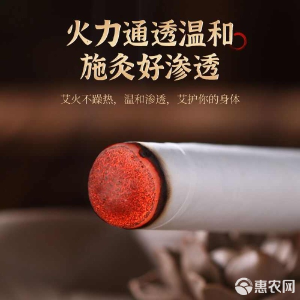 傳承古法，溫養新生 探秘艾條產業的中醫智慧與現代應用